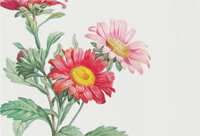 Fali fotótapéta Étkezőbe Finom virágok 152x104 Ragasztó