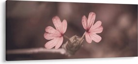 Rózsaszín virág képe (120x50 cm)