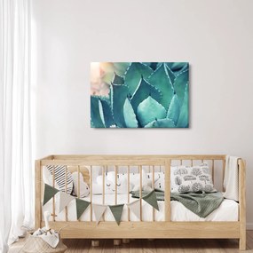 Kép - Szukulent (90x60 cm)