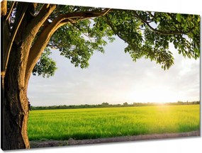 Vászonkép 90x60 Misztikus naplemente