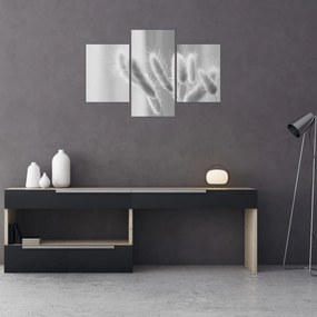 Kép - Nyuszi farok fű (90x60 cm)