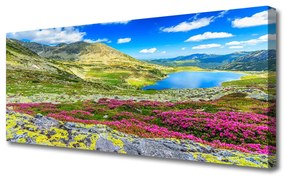 Vászonkép nyomtatás Top Bay Mező Természet 100x50 cm