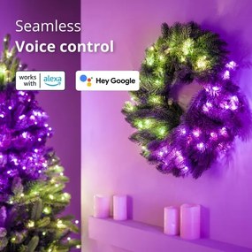 Twinkly GD20P4425P00 - RGB LED karácsonyi koszorú 50 LED, 60 cm, Wi-Fi, dimmer