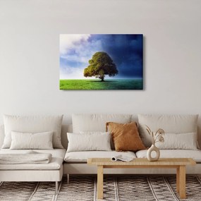 Kép - Éjjel - nappal (90x60 cm)