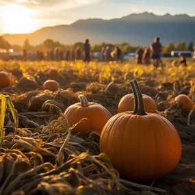 Poszter 60x60cm Arany Ősz