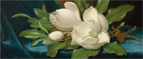 Kép - Martin Johnson Heade, Giant Magnolias on a Blue Velvet Cloth, reprodukciók (120x50 cm)
