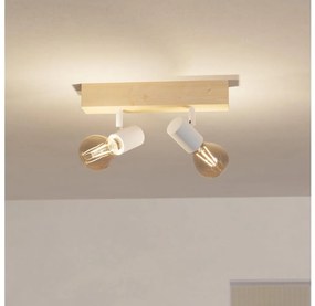 Eglo 99483 - Spotlámpa TOWNSHEND 3 2xE27/60W/230V