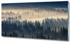Üvegfotó Köd az erdőben osh-134224571