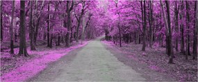 Kép - Út a parkon (120x50 cm)