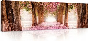 Vászonkép 145x45 Virágzó sikátor rózsaszín virágok tavasz nyugalom természet