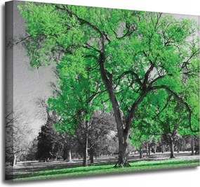 Vászonkép Fekete fák Zöld levelek Művészet 50x40 cm