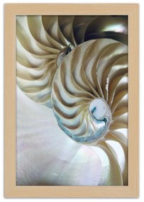 Gario Poszter Egy kagyló belseje A keret színe: Fekete, Méret: 70 x 100 cm