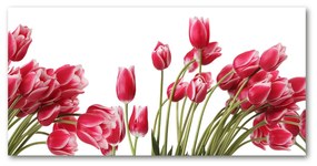 Akrilkép Piros tulipánok oah-109710799