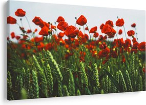A pipacsok képe a szélben (90x60 cm)