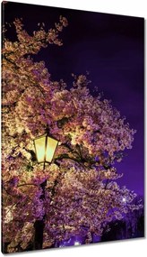 Vászonkép 80x120 Éjszakai motívum a nappaliba