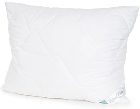 4Home Aloe Premium paplan és párna szett, 140 x 220 cm, 70 x 90 cm