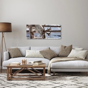 Kép - Sat (120x50 cm)