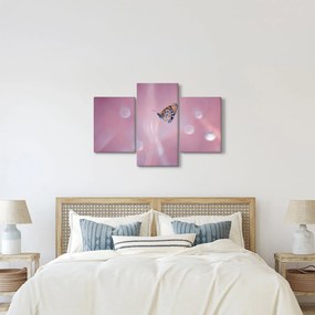 Kép - Pillangó (90x60 cm)