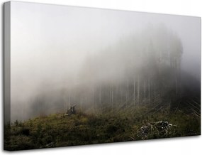 Vászonkép Természet Köd Megsemmisült erdő 80x50
