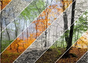 Kép - Változó évszakok (üvegen) (70x50 cm)