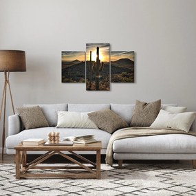 Kép - kaktuszok a napon (90x60 cm)