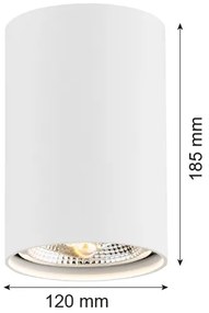 Argon 4910 - Spotlámpa TUBO AR111 1xGU10/15W/230V fehér