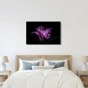 A liliom képe (90x60 cm)