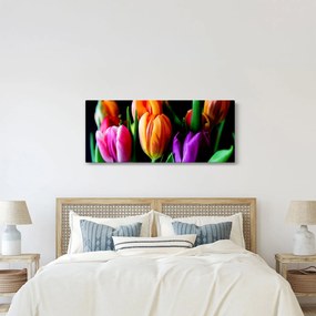 Tulipánok képe fekete alapon (120x50 cm)