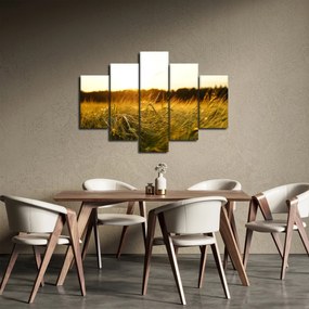 Harmatos fű képe (150x105 cm)