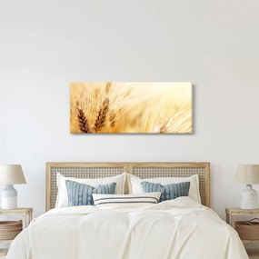 Kép - részlet gabona (120x50 cm)