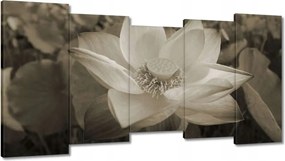 Vászonkép 150x80 Lótusz Lótuszvirág