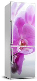 Matrica hűtőre Rózsaszín orchidea FridgeStick-70x190-f-178713472