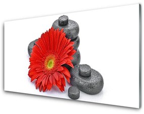 Üvegkép Piros gerbera virágok 100x50 cm