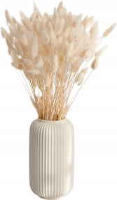 Lagurus Tojásfúvóka fehér csokor 40db-os aszalvány