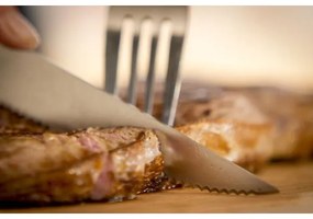 Tefal - 4 darabos rozsdamentes acél steakkés készlet ICE FORCE 11 cm, króm/fekete