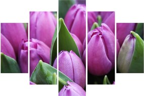 Kép - tulipánok (150x105 cm)