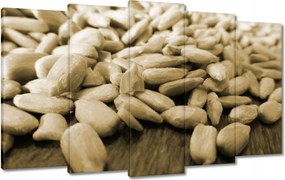 Vászonkép 100x60 Hántolt napraforgó