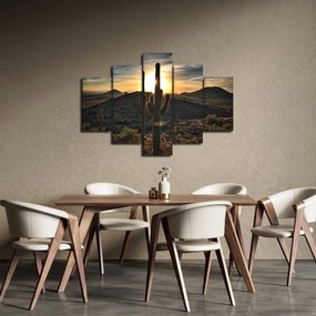 Kép - kaktuszok a napon (150x105 cm)