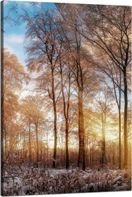 Vászonkép Fák Tél Felkelő Nap 80x120 cm