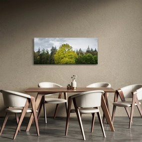 Egy zöld fa képe a mező közepén (120x50 cm)