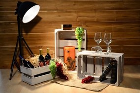 DIVERO Kerti fa tároló doboz 3 db VINTAGE fehér