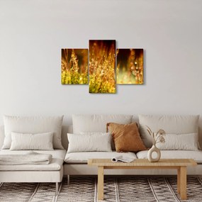 Kép - Harmat részlete (90x60 cm)