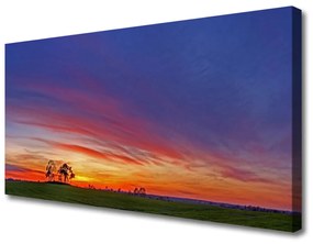 Canvas kép Természet Tájkép fák Field 100x50 cm