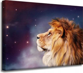 Vászonkép Oroszlán arca a csillagok között 40x30 cm Ideális ajándék