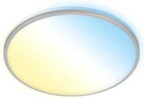 Briloner 3065-014 - LED dimmelhető mennyezeti lámpa IVY 42W/230V Wi‑Fi Tuya Ø49 cm + távirányító