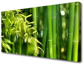 Vászonkép nyomtatás Bambusz levelek Plant 100x50 cm