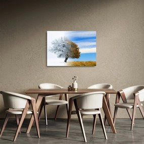 Kép - Évszakváltás (üvegen) (70x50 cm)