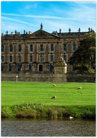 Poszterek 70x100 Bárányok a gyepen