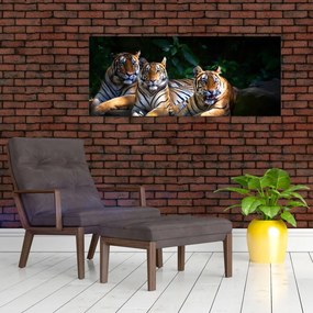 Kép - Tigris testvérek (120x50 cm)