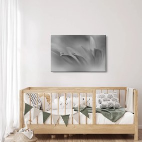 Kép - Csepp a virágon, fekete-fehér (90x60 cm)